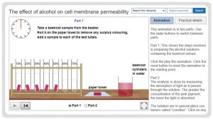 effect of alcohol on cell membrane experiment